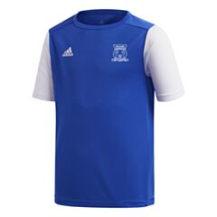 Youth Mosgiel AFC Training Shirt - Blue